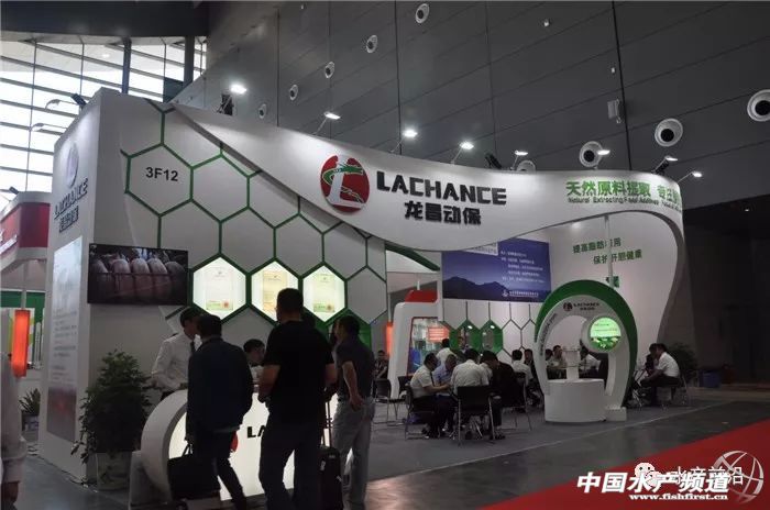 ��Ϲ��I(y��)չ��(qi��ng)��(sh��)��(l��i)�u����(gu��)��(n��i)���600����I(y��)�R���L(zh��ng)ɳ����·���T(m��n)Ҫ�Ĵ��ǡ���