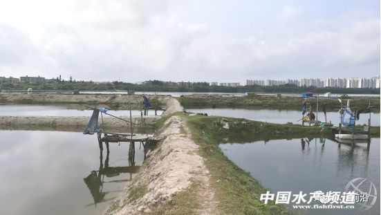 ����ʯ���~���r���B�����aֵ���_10���f������������ģ�