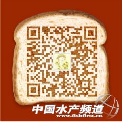 ���r�����N����r�r���m(x��)���ԣ���һ�����u�q�rح4��18���r�r