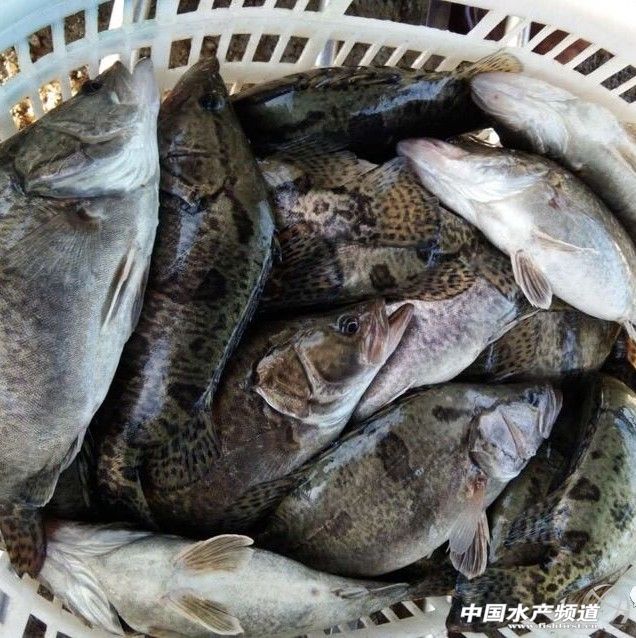 �Z�~�r��ȫ����������ͨ��10��̝400�f��