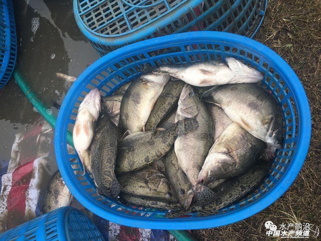 �Z�~�r��ȫ����������ͨ��10��̝400�f����������ô����