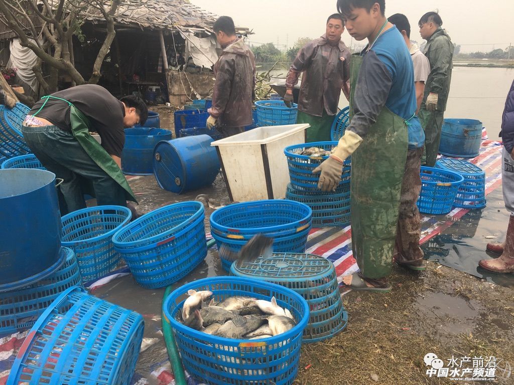 �Z�~�r��ȫ����������ͨ��10��̝400�f����������ô����