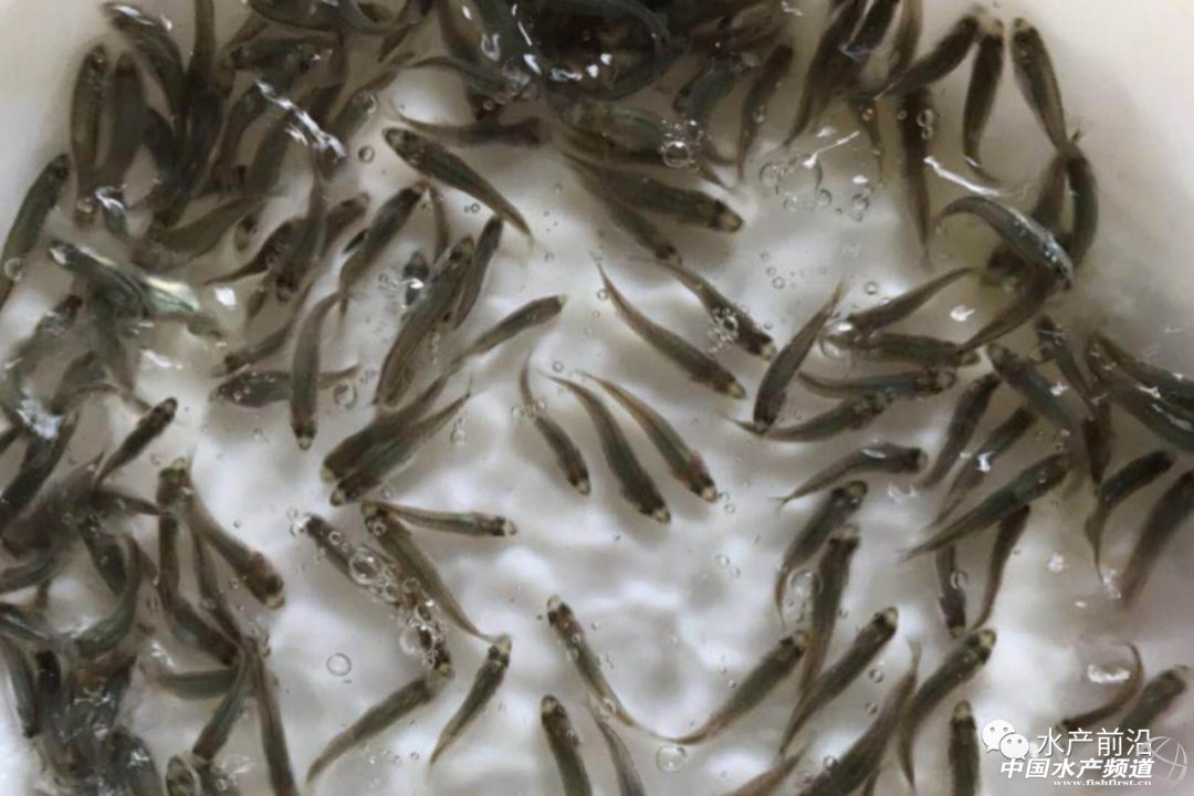 ����������lչ�����Ј���y�����N��ȱ�������|�N�Iӭ��������