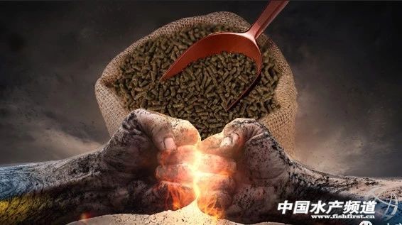 �@��ˮ�a����I�߳����Լ�����ɫ