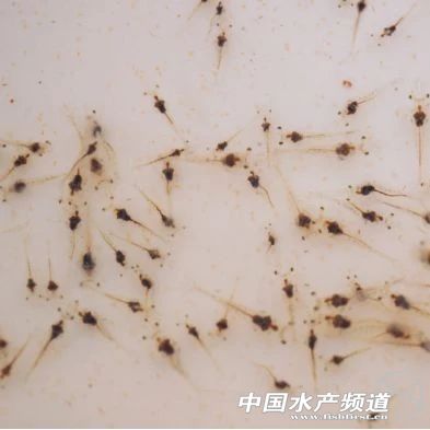 �l��2018�Ї���ֵ�����]���r����I?