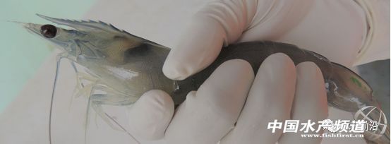 �r�縂���ןữ���l����2018�Ї���ֵ�����]���r����I?