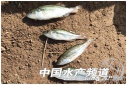 �����|�����������ǲ����l�����~�����������?zh��n)ף��I(y��)��(n��i)�м��@���f��