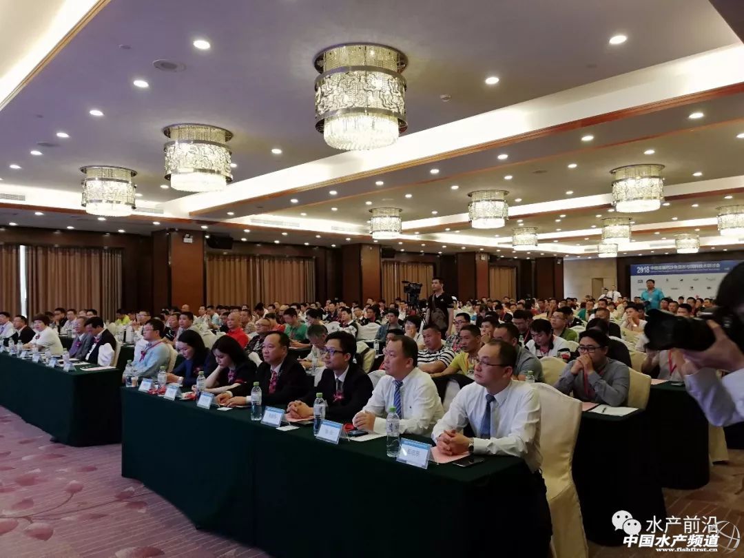 �@�l�~���B���ó�߀�����´̣����a50000��İ�ɳ�~�Ј��s��������һ��r�g���鯂�L40%��