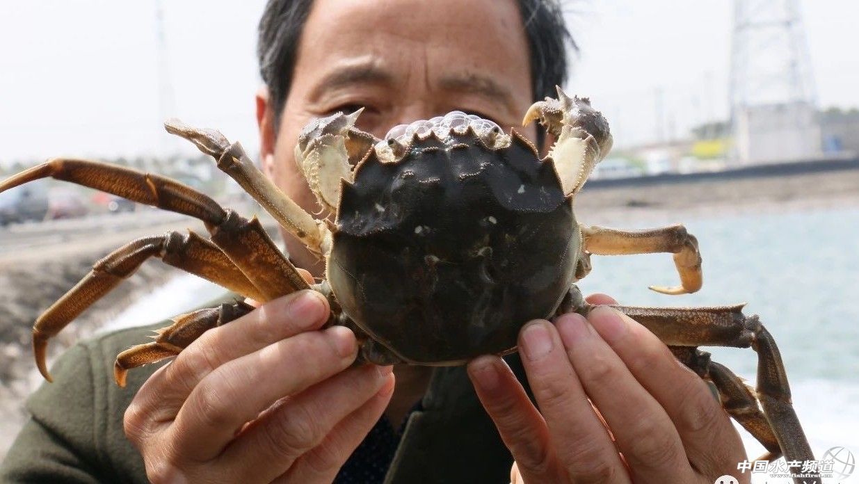 ���������������I���֓�λ�ĕr�C����?