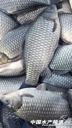 �a�~����������ѽ��ϝq0.5Ԫ������M���r����߀���ӣ�