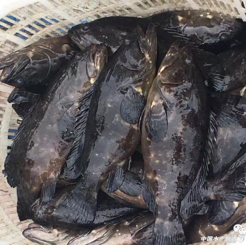 �@�ݮa�I���Ո�պã������@�l�������o�w֮�~�����