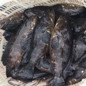 �@�ݮa�I���Ո�պã������@�l�������o�w֮�~�����