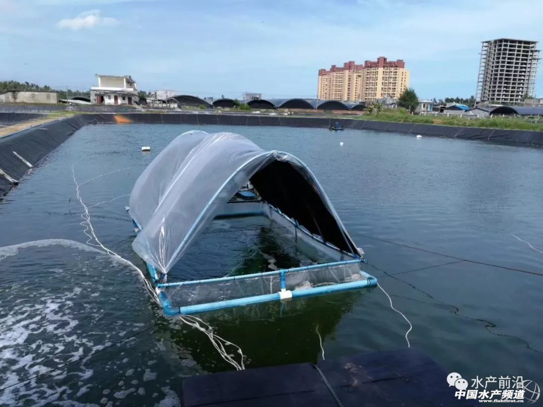 �����@�l�������o(h��)�w֮�~(y��)����������B(y��ng)�����@�ݮa(ch��n)�I(y��)��(b��o)��Ո(q��ng)�պã�