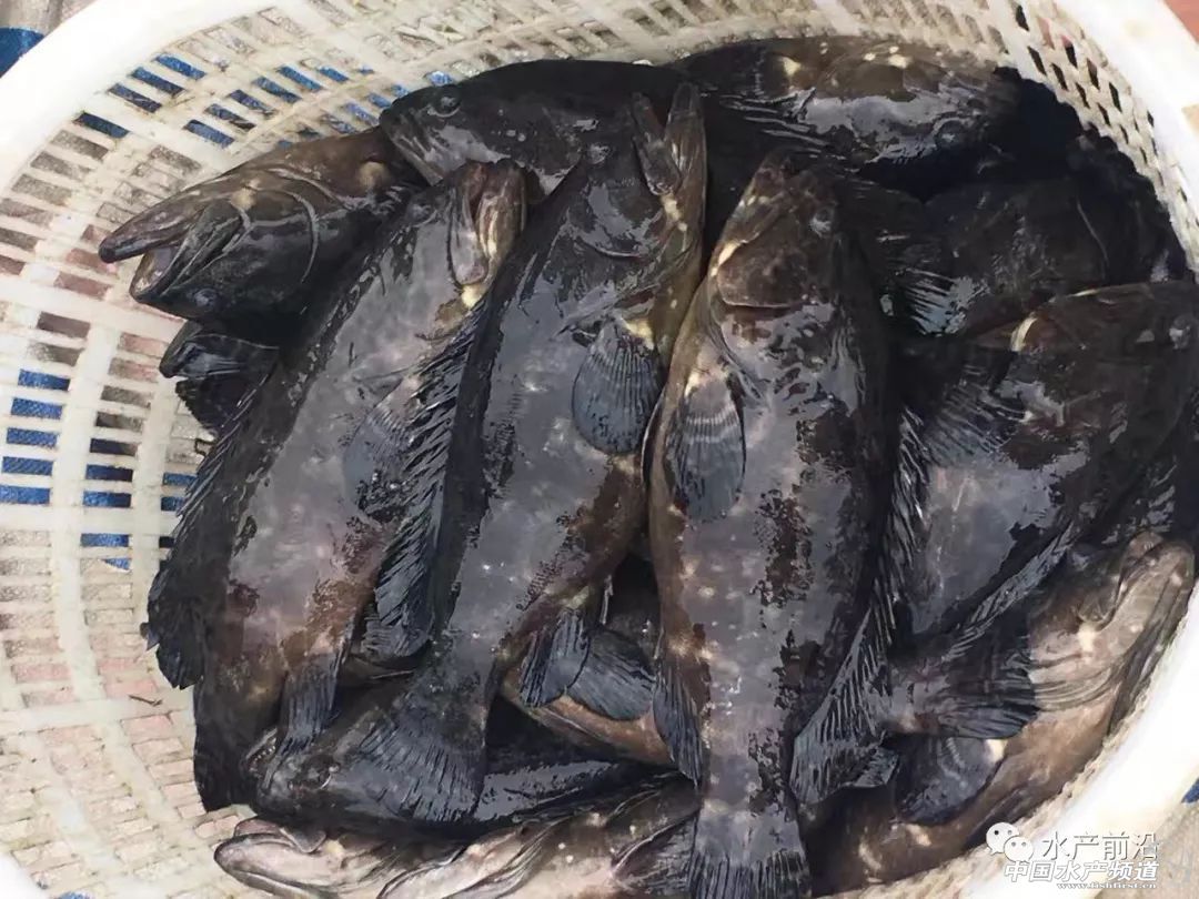 �����@�l�������o(h��)�w֮�~(y��)����������B(y��ng)�����@�ݮa(ch��n)�I(y��)��(b��o)��Ո(q��ng)�պã�