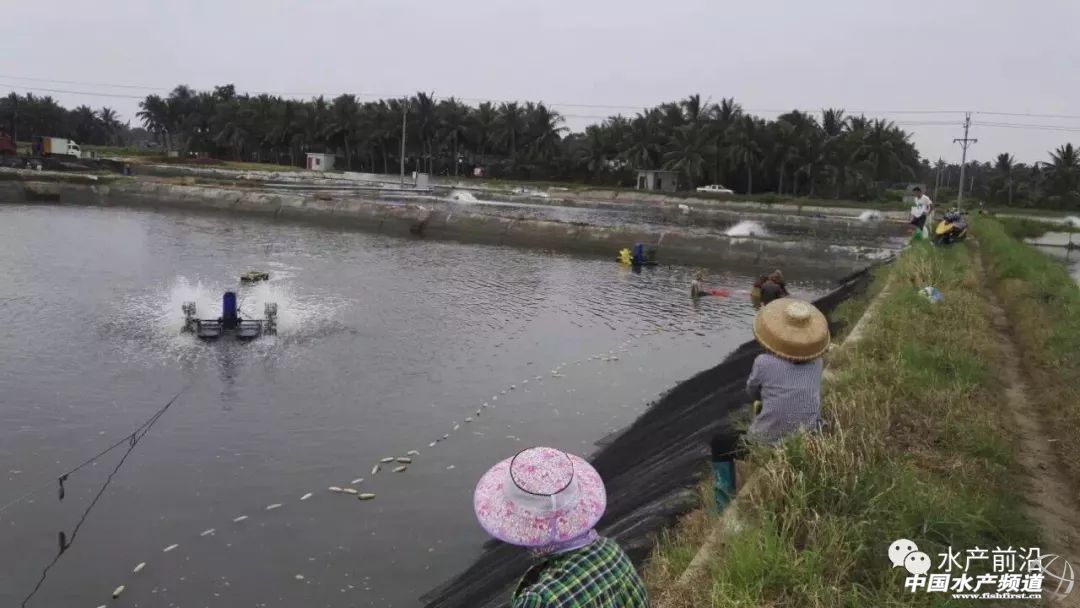 �����@�l�������o(h��)�w֮�~(y��)����������B(y��ng)�����@�ݮa(ch��n)�I(y��)��(b��o)��Ո(q��ng)�պ���