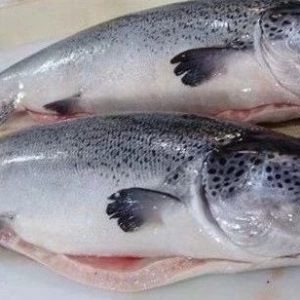 �V���Ј����P�����~���ڳ�؛���ձ顰������