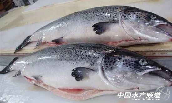 �V���Ј������~��؛���ձ顰���������Ј�ϴ�ƣ����P�����~ӭ�����ã�