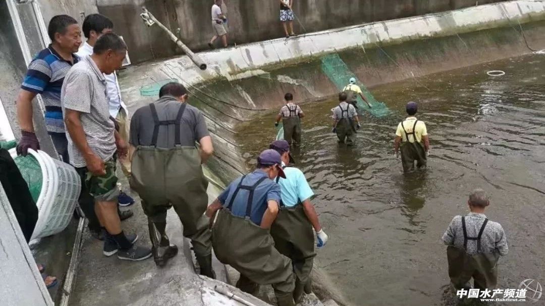 �����������ּ�ˮ̎�����㽭�@�ׂ��˜ʻ��B�r������Ҋ�^�ׂ���