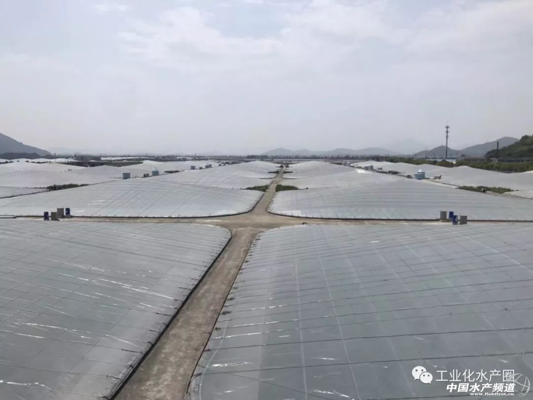 �����������ּ�ˮ̎�����㽭�@�ׂ��˜ʻ��B�r������Ҋ�^�ׂ���