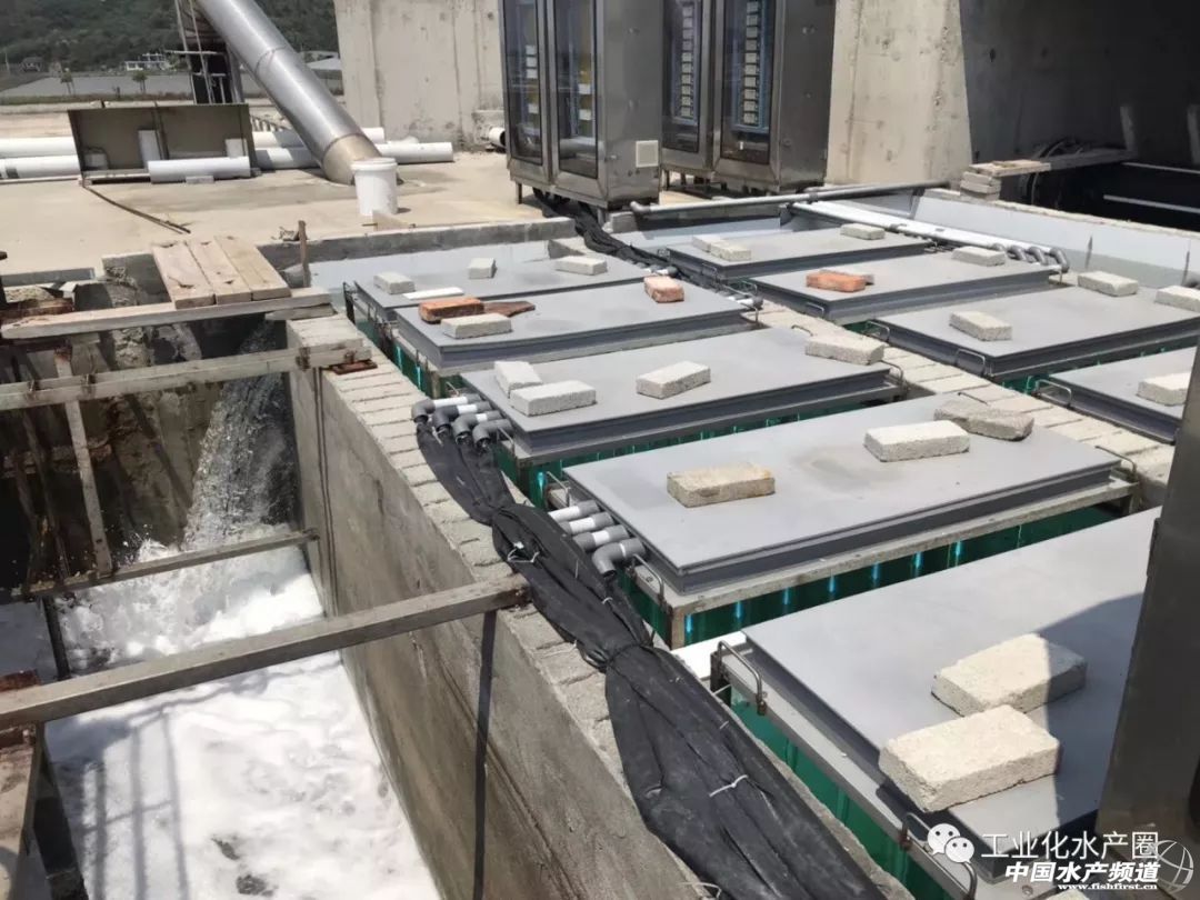 �����������ּ�ˮ̎�����㽭�@�ׂ��˜ʻ��B�r������Ҋ�^�ׂ���