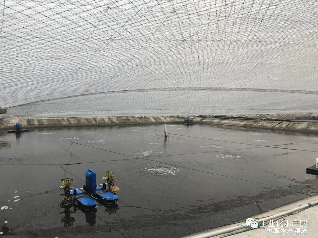 �����������ּ�ˮ̎�����㽭�@�ׂ��˜ʻ��B�r������Ҋ�^�ׂ���