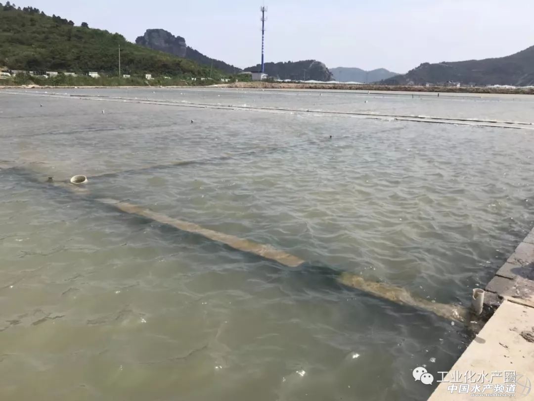 �����������ּ�ˮ̎�����㽭�@�ׂ��˜ʻ��B�r������Ҋ�^�ׂ���