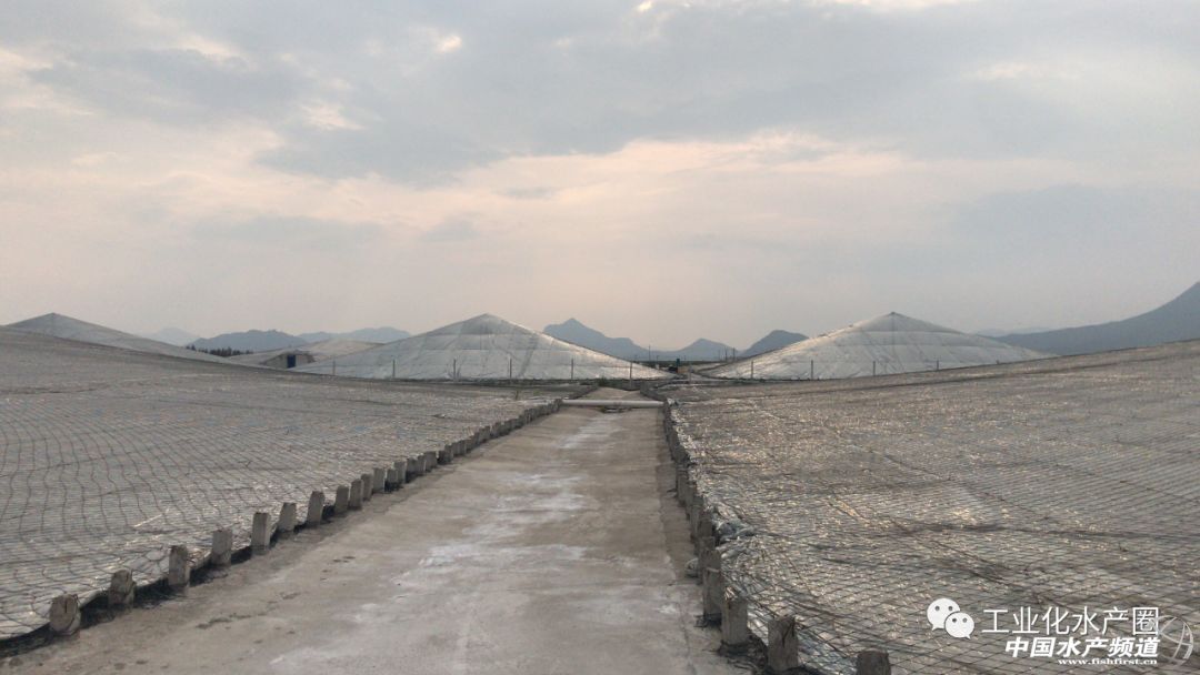 �����������ּ�ˮ̎�����㽭�@�ׂ��˜ʻ��B�r������Ҋ�^�ׂ���