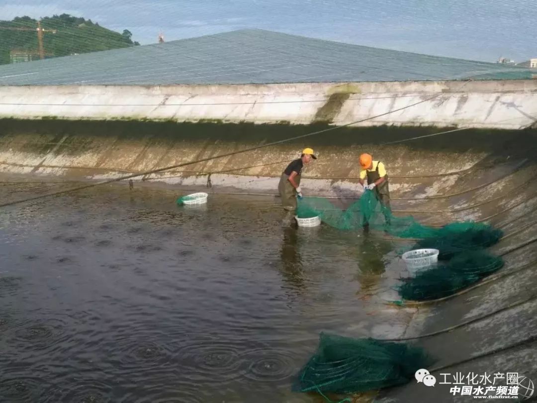 ��������ּ�ˮ̎�����㽭�@�ׂ��˜ʻ��B�r������Ҋ�^�ׂ���