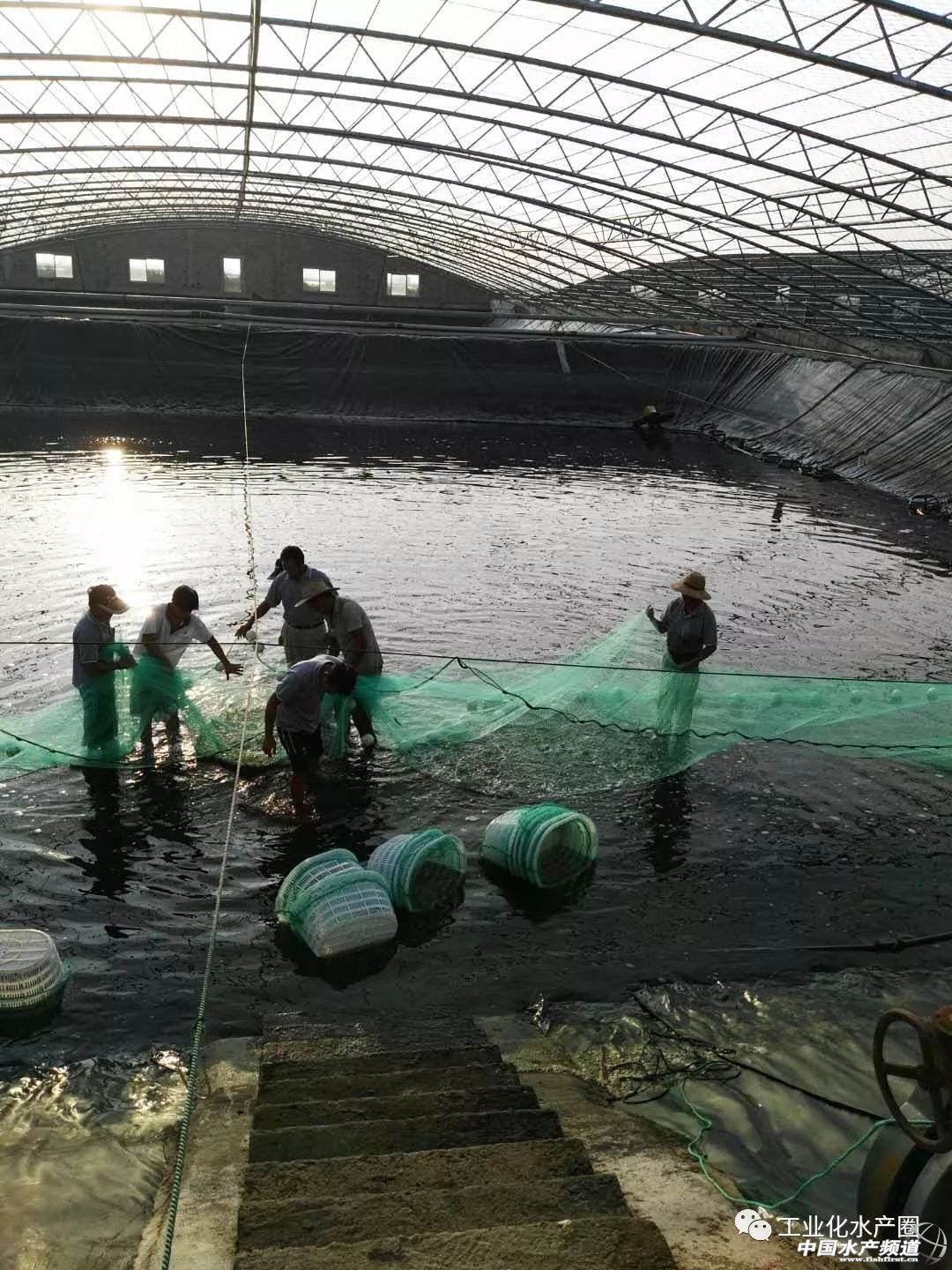 ��������ּ�ˮ̎�����㽭�@�ׂ��˜ʻ��B�r������Ҋ�^�ׂ���