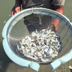 2018����K�~�r��q��13Ԫ/��@���Bֳ�������S�񡪡�2018ُ�Nָ��