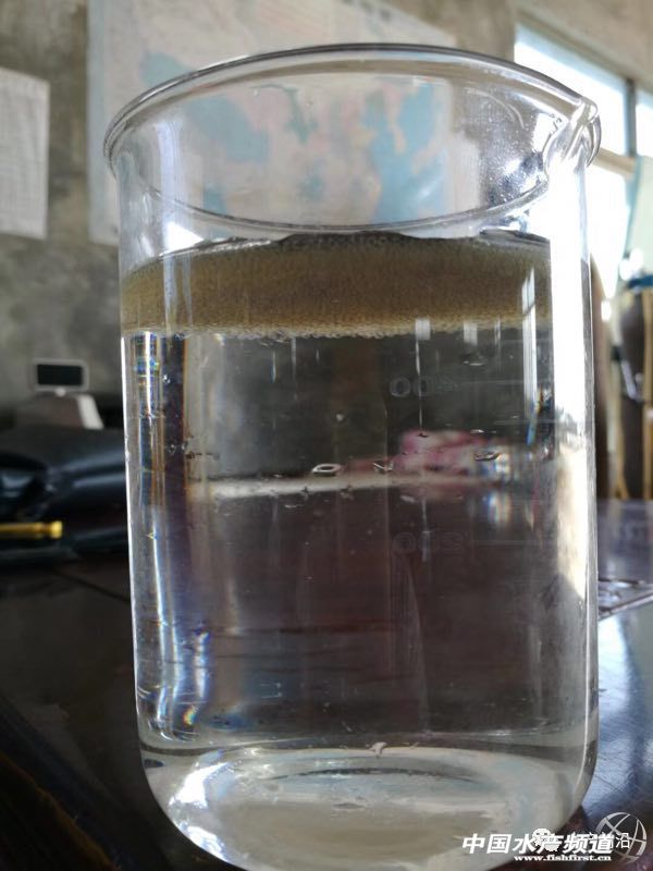 ������K�~�r��q��13Ԫ/�Ո�@���Bֳ���㌢�к��S������