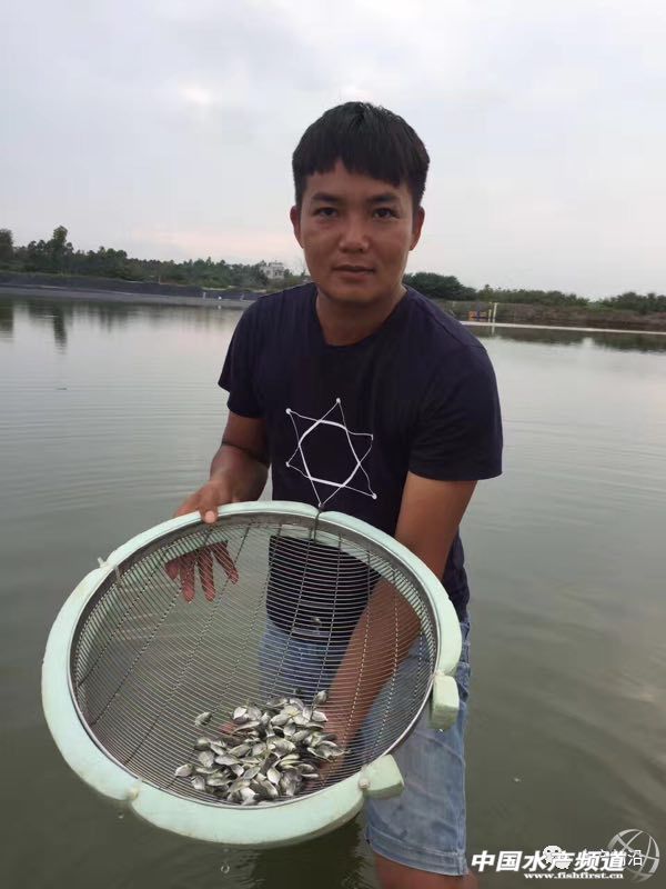 ������K�~�r��q��13Ԫ/�Ո�@���Bֳ���㌢�к��S������