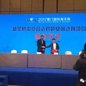 �s�v��������Y��˾�����Ї�(gu��)�������N��(du��)�r��