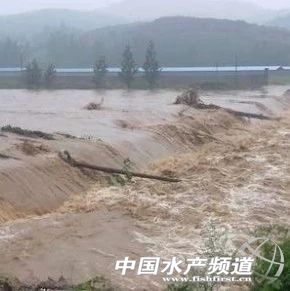 �����˲��ش��������f���~���ܞ�(z��i)����(sh��)�f���~���M������늴���