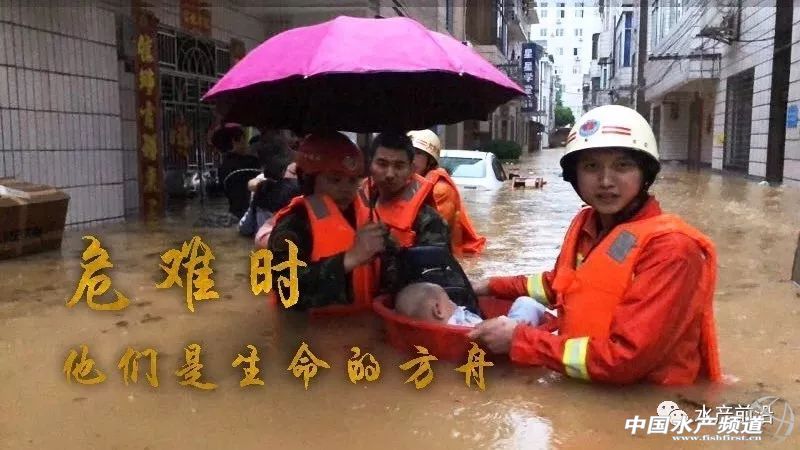 �����˲��ش��������f���~���ܞ�(z��i)����(sh��)�f���~���M������늴���