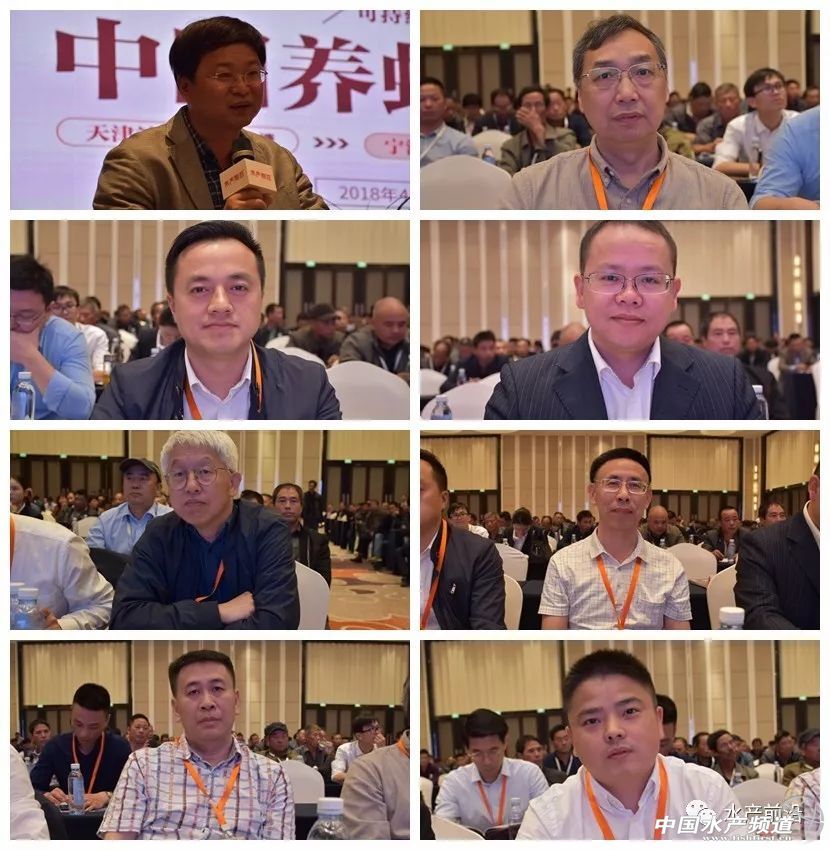 �؉�֮�£��A�|���r�a�I���R�h�����h���������ȉ������a�I����׃���������ƾ�֮·���@�