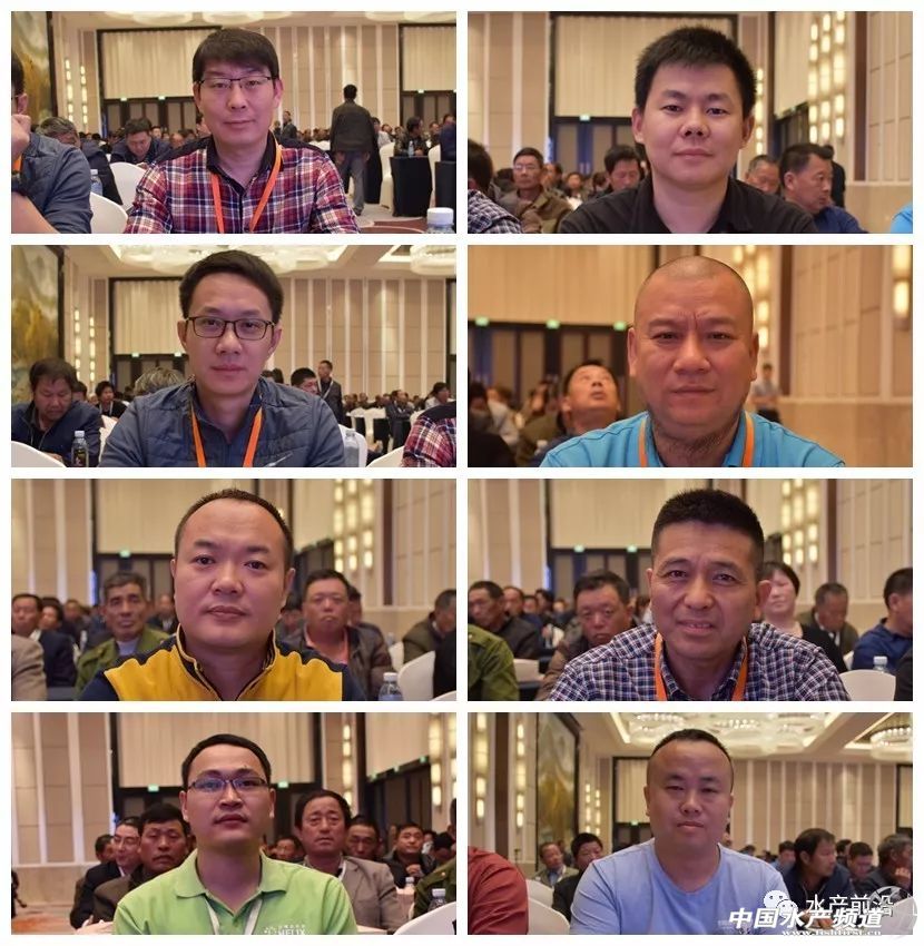 �؉�֮�£��A�|���r�a�I���R�h�����h���������ȉ������a�I����׃���������ƾ�֮·���@�