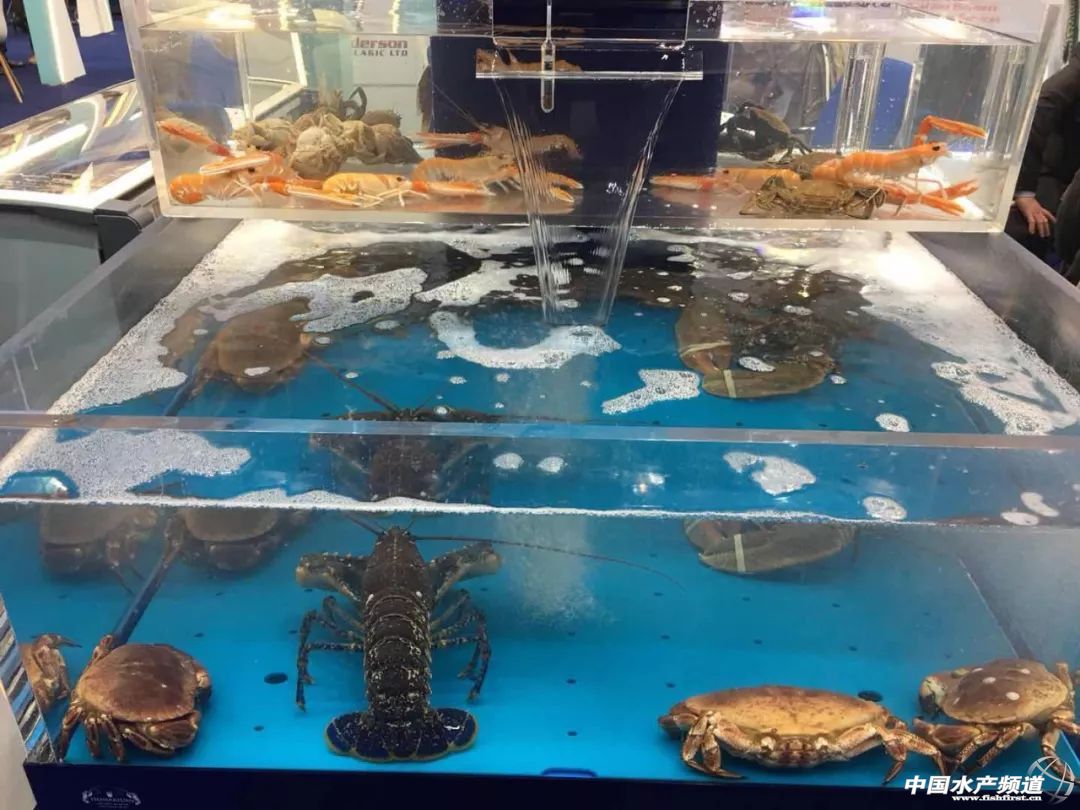 ֱ��ȫ���һ���rչ���F�����D+ҕ�l���u�������������rչ�����������