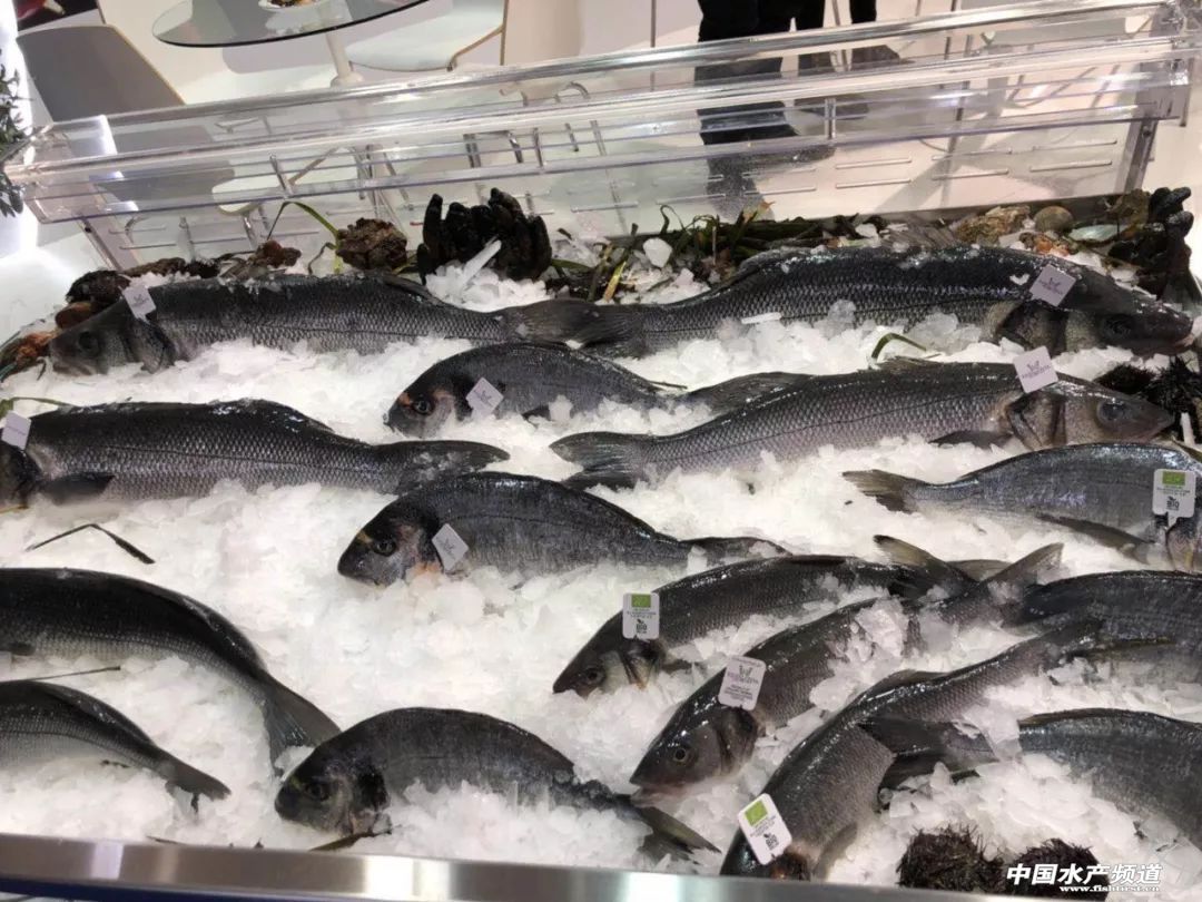 ֱ��ȫ���һ���rչ���F�����D+ҕ�l���u�������������rչ�����������