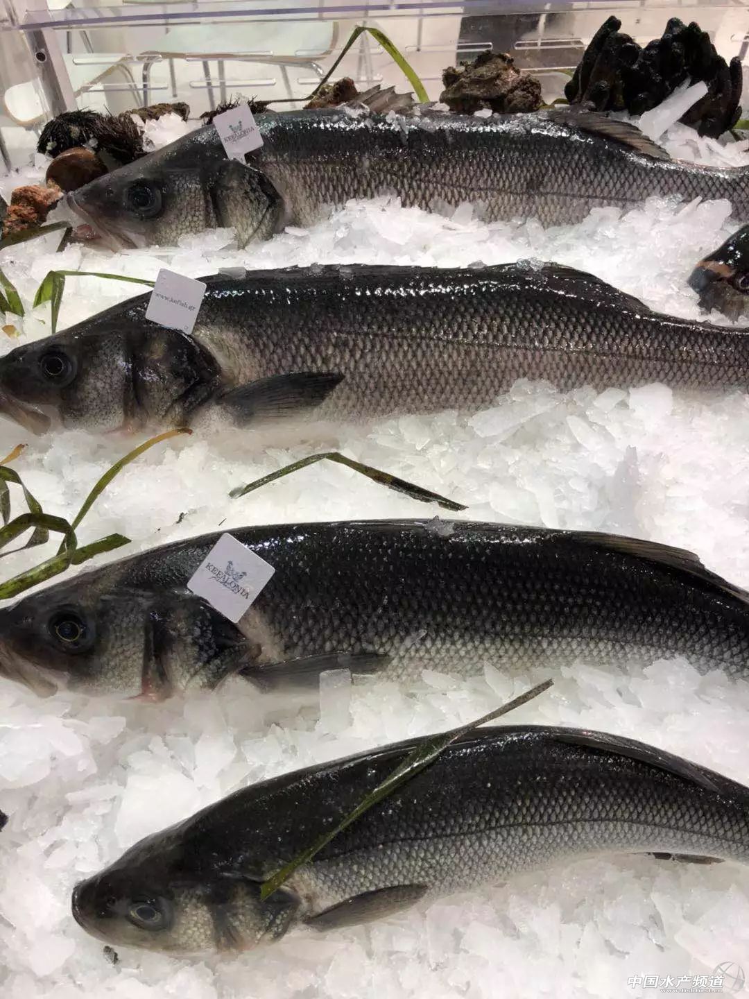 ֱ��ȫ���һ���rչ���F�����D+ҕ�l���u�������������rչ�����������