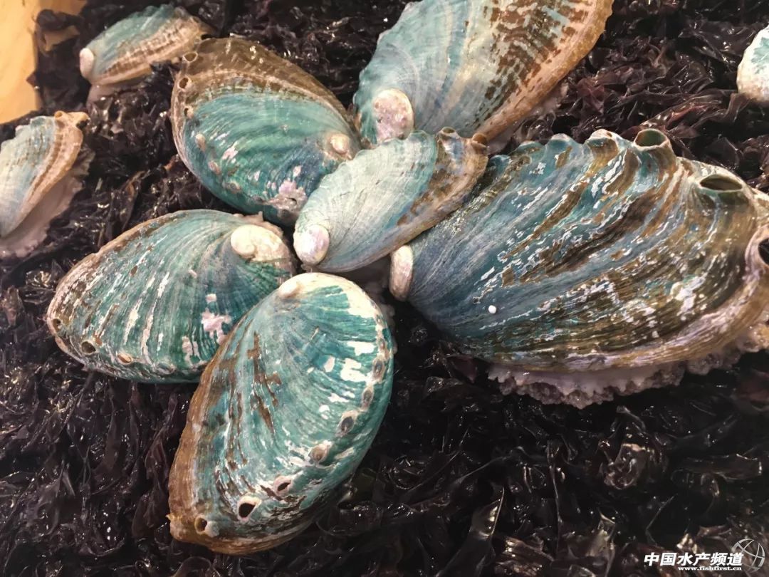 ֱ��ȫ���һ���rչ���F�����D+ҕ�l���u�������������rչ�����������