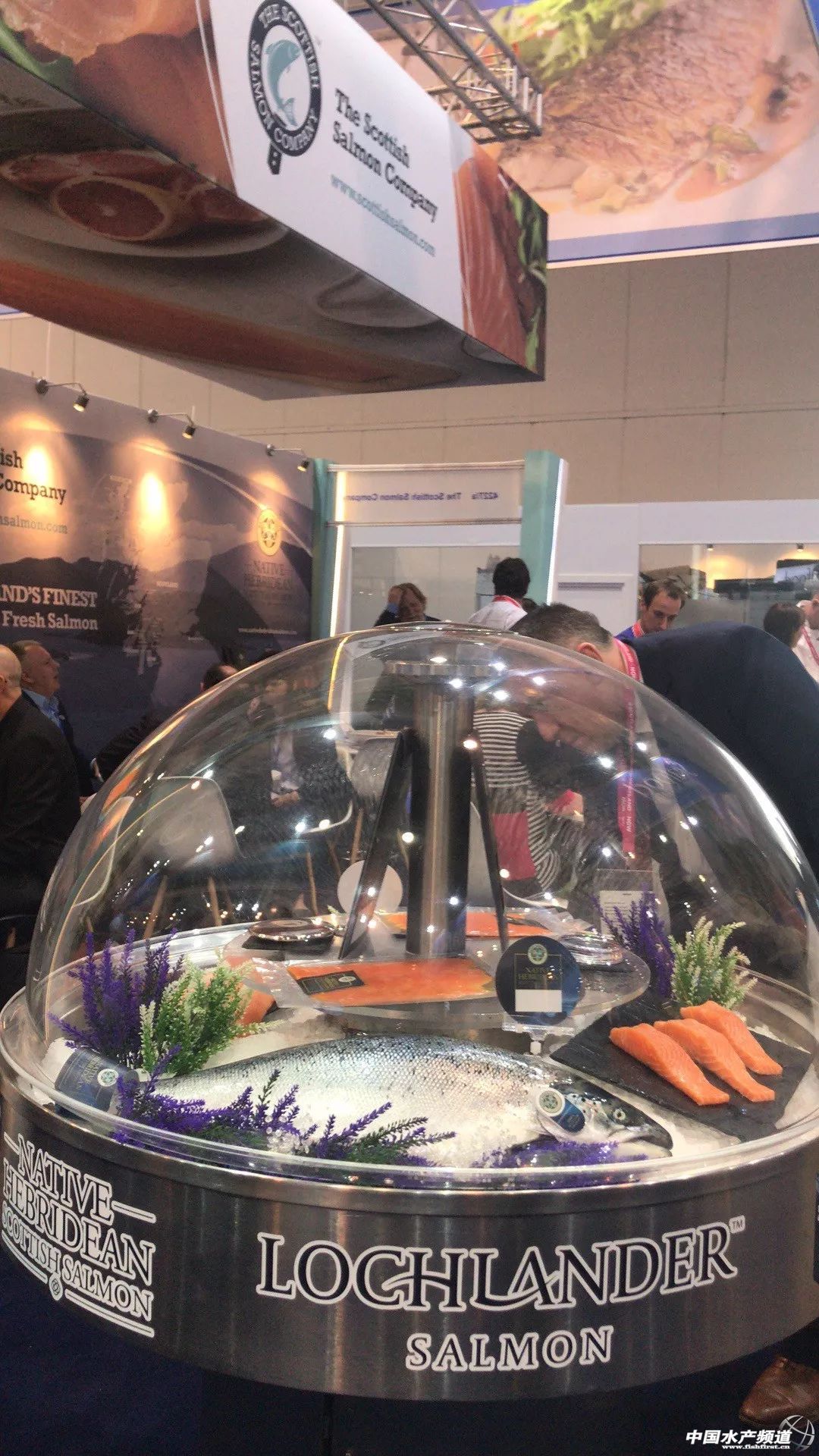 ֱ��ȫ���һ���rչ���F�����D+ҕ�l���u�������������rչ�����������