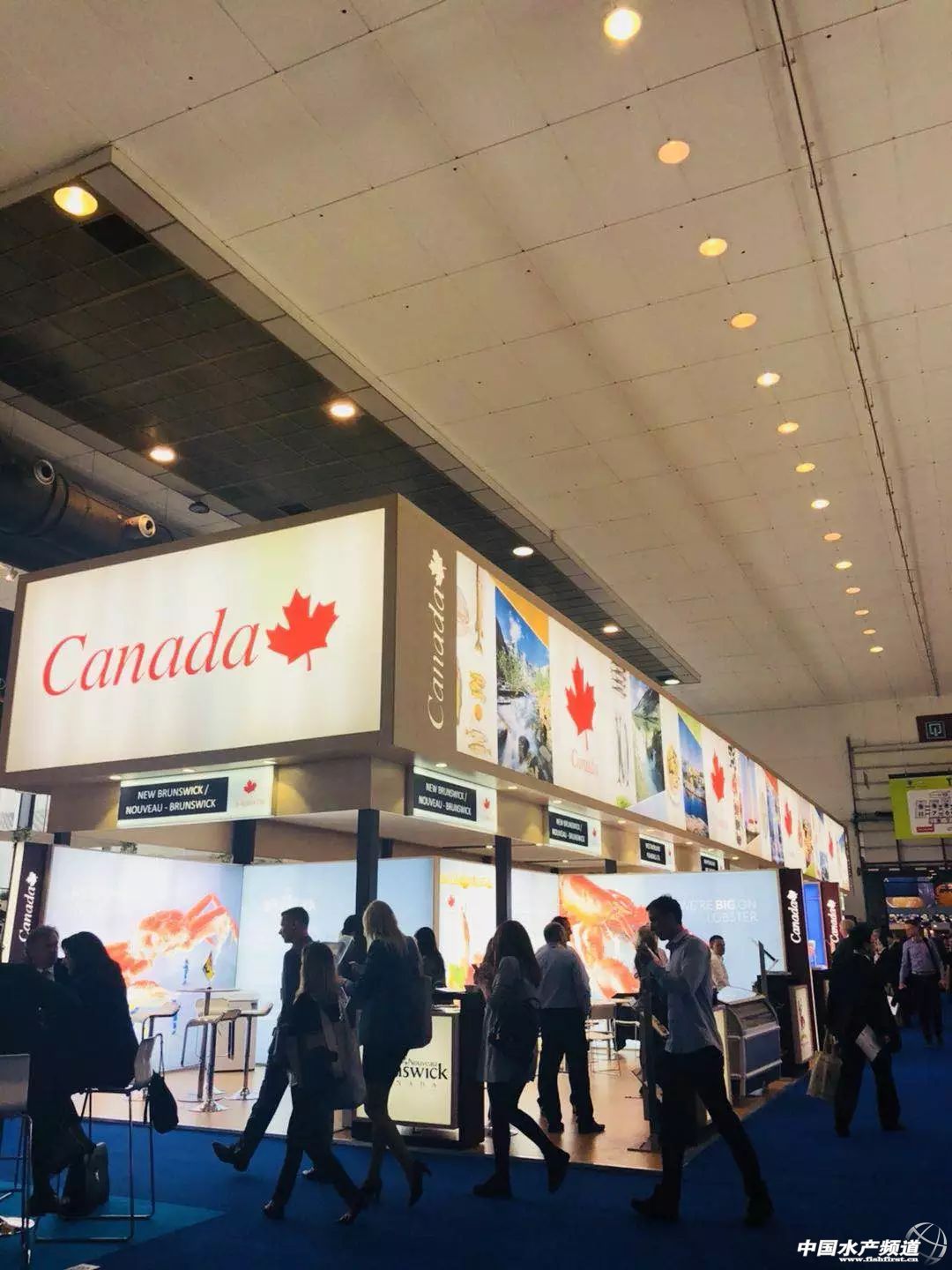 ֱ��ȫ���һ���rչ���F�����D+ҕ�l���u�������������rչ�����������