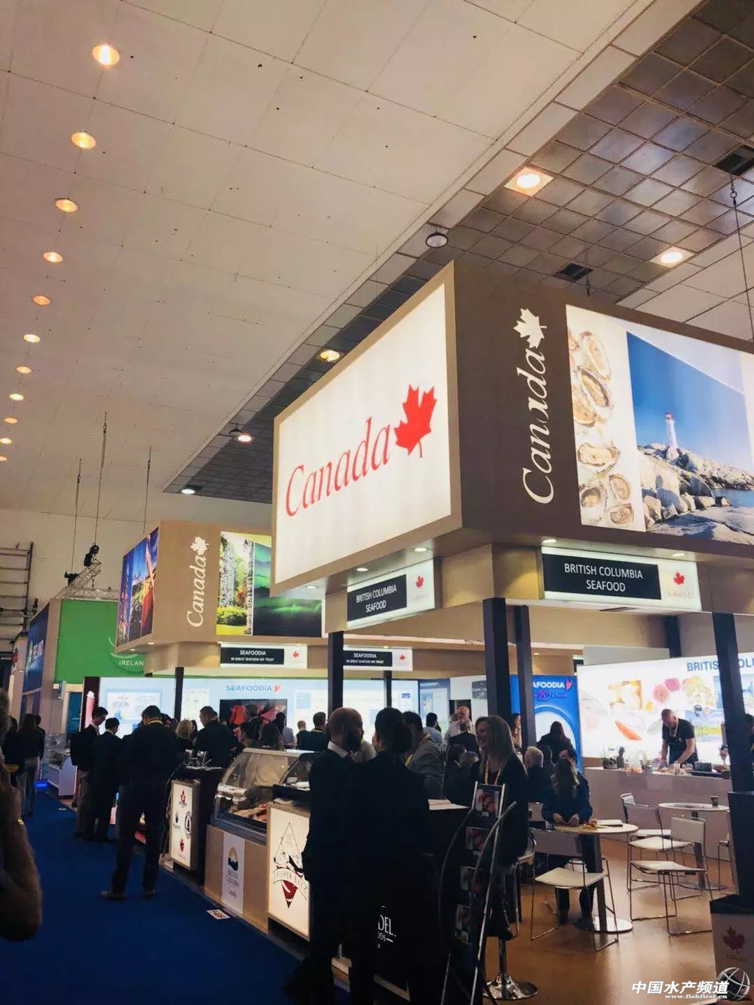 ֱ��ȫ���һ���rչ���F�����D+ҕ�l���u�������������rչ�����������