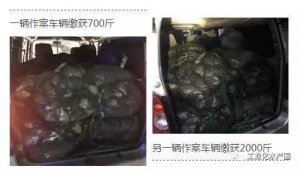 ��ɽ혵�ĳ�B��һ�ٶ��fβ���~��һҹ��͵