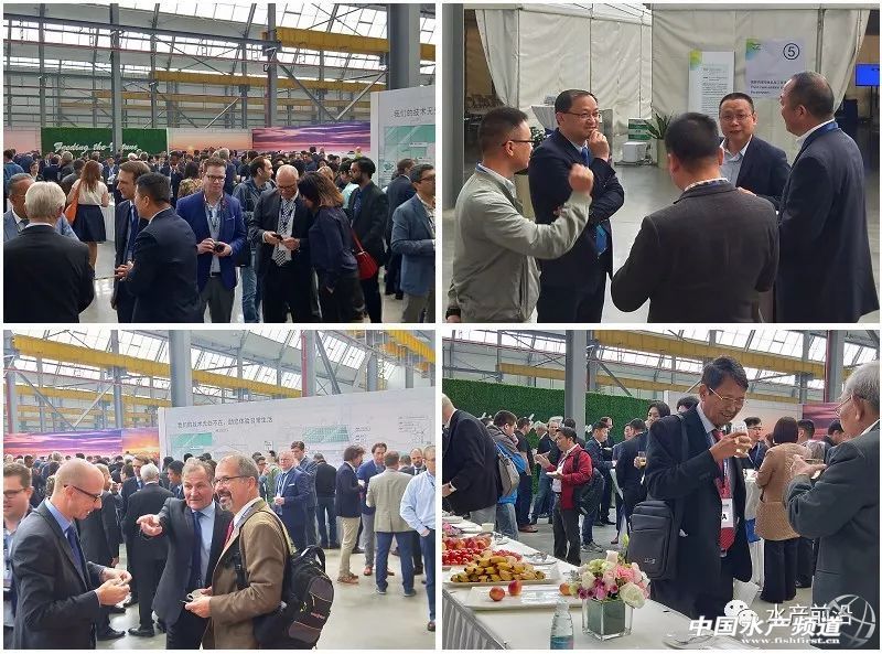 ���죬���󡢺���ͬ��Մ��ʲô��