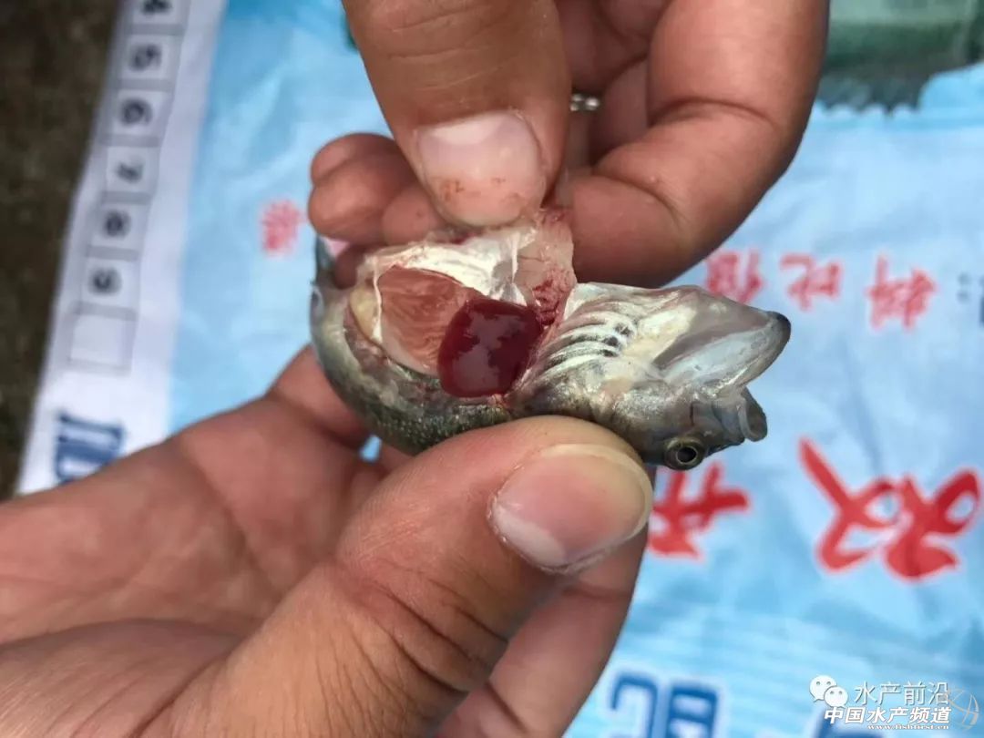 ϲӍ�B�B���Ĵ������|15Ԫ/�������K�q0.5Ԫ���ܴ���������ؼs