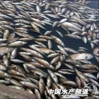 �����A�в��~����e�������������~��80%���B��ԓ��ô�k��