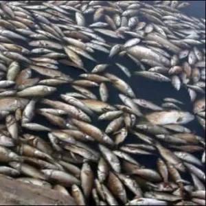 �����A�в��~����e�������������~��80%���B��ԓ��ô�k��