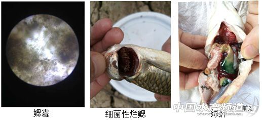 �����A�в��~����e���l�߲����������~��80%���B��ԓ��ô�k��